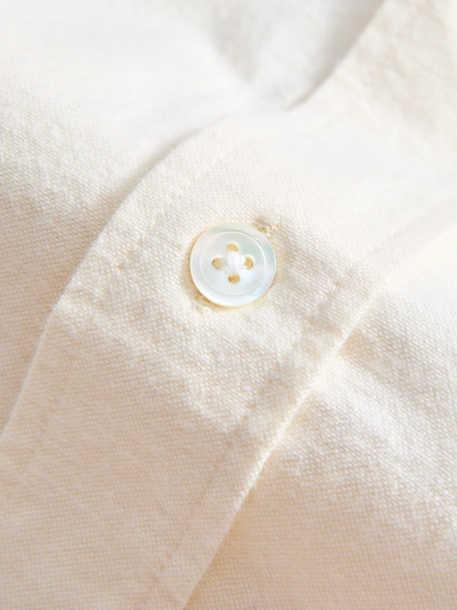 Brushed Oxford Button-Up Shirt in Ecru - Image 7