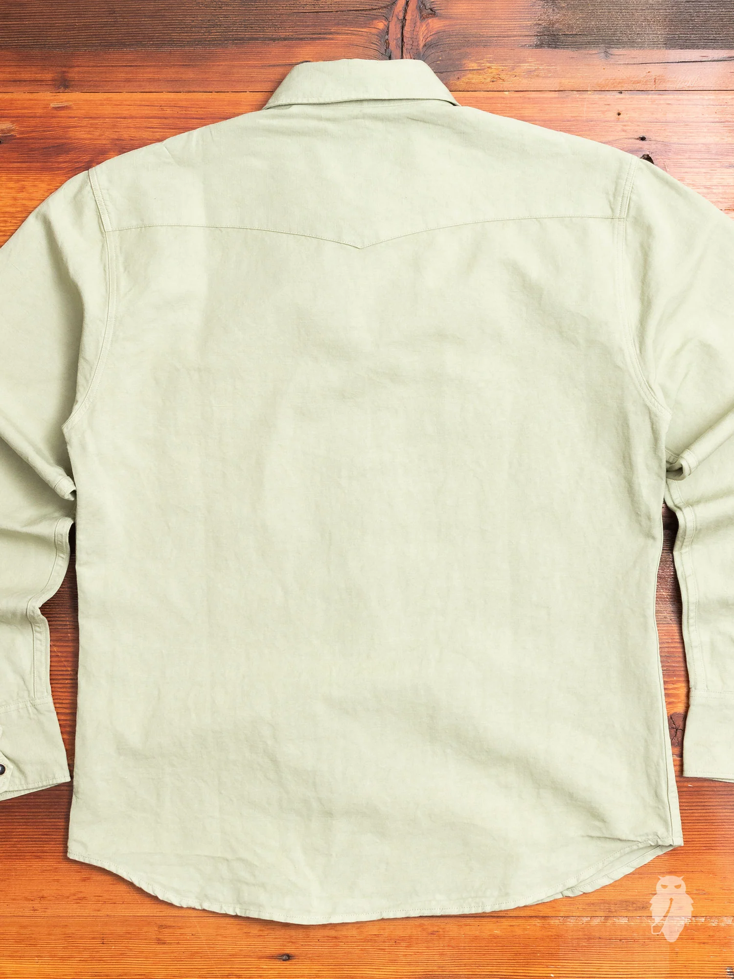 Dollard Western Shirt in Sage Green - Image 8