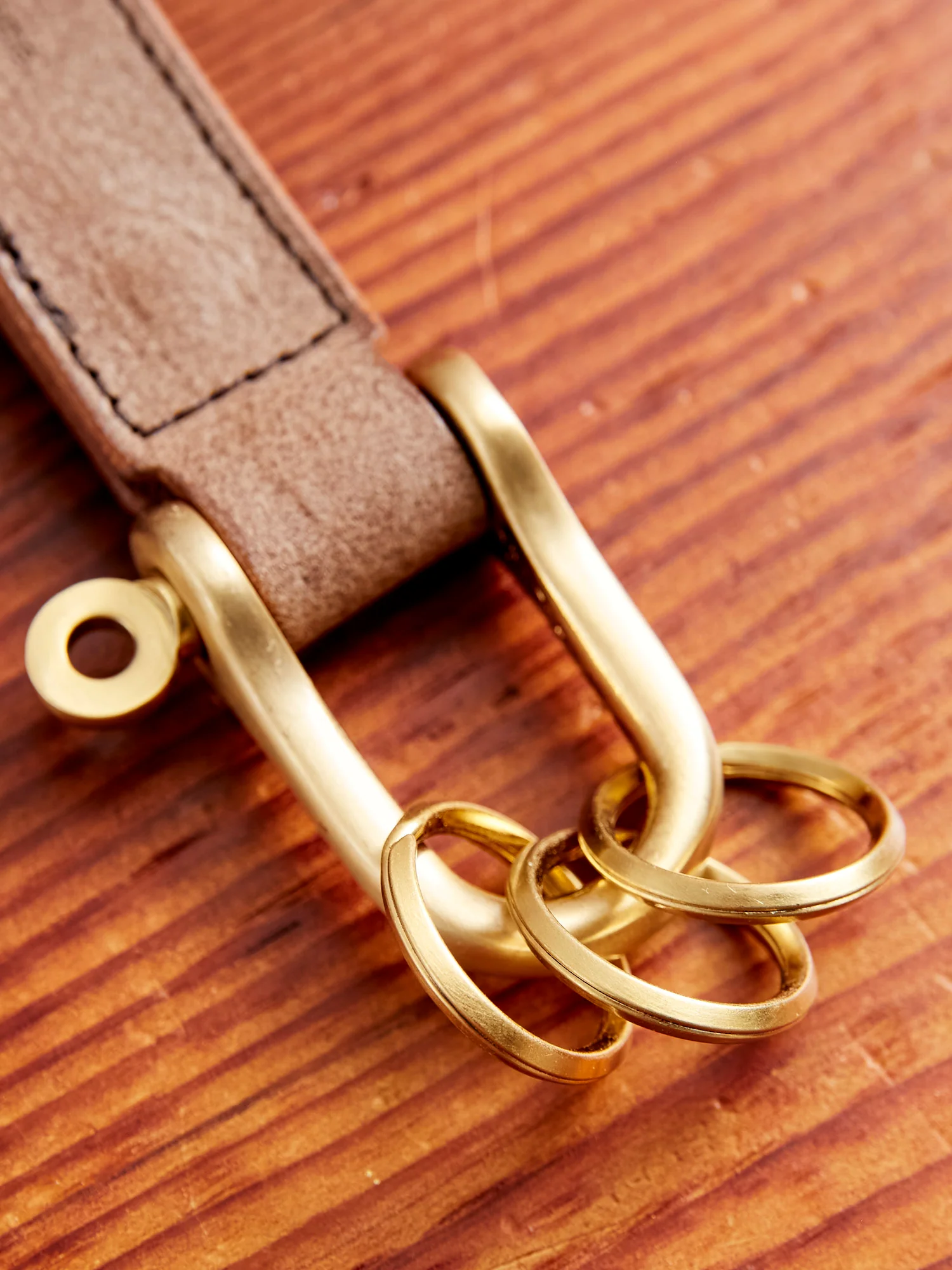 Key Shackle in Choco - Image 2