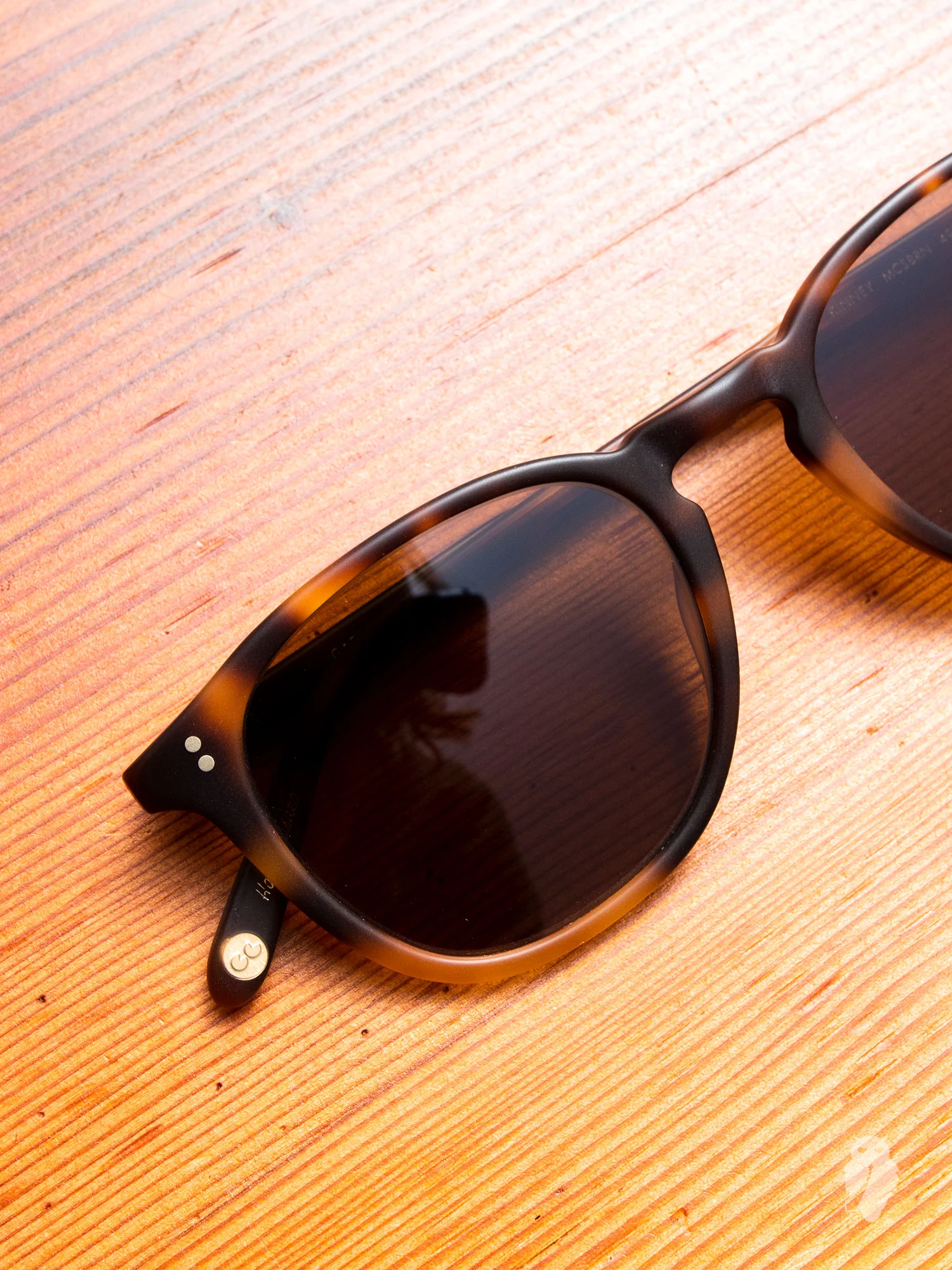 "Kinney" Sunglasses in Matte Brown - Image 2