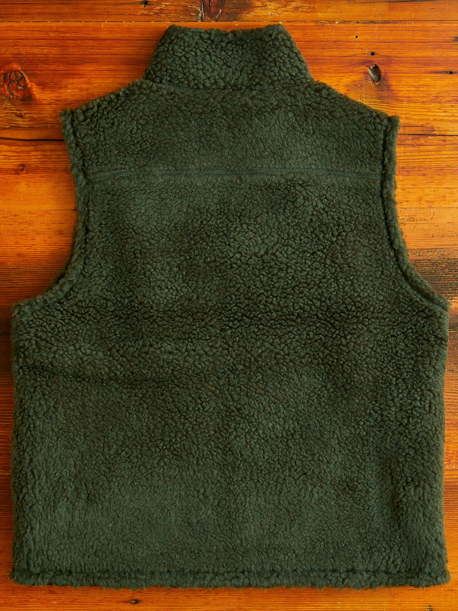 Stand Collar Boa Fleece Vest in Forest - Image 9